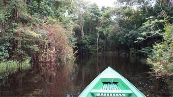亚马逊丛林探险记
