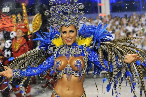 巴西狂欢节的有趣事实和感受