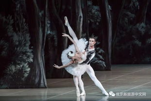 俄罗斯芭蕾舞的发展现状