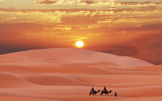 撒哈拉沙漠是世界上最大的沙漠，覆盖了北非的大部分地区，穿越了多个国家。下面将介绍穿越撒哈拉沙漠的一些国家和它们的特点。