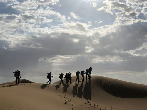 沙漠探险项目：一次未知的挑战