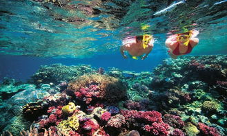 大堡礁水深多少，大堡礁：深海的翡翠