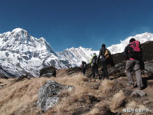 喜马拉雅山徒步之旅：梦想、挑战与无尽的魅力