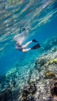 大堡礁潜水体验感如何，深入海底童话，体验大堡礁的魅力