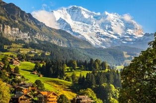 阿尔卑斯山：地理、地质、气候、植被、旅游和经济价值的综合研究