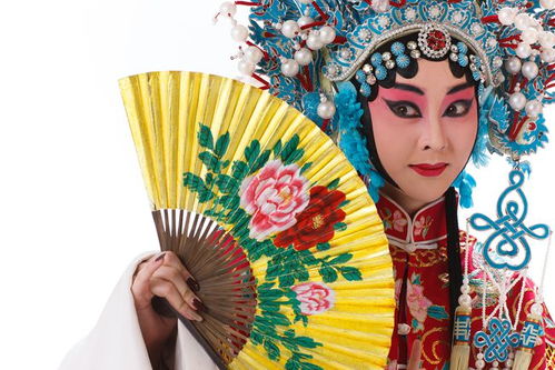 戏曲的传统艺术，戏曲：中国传统艺术的瑰宝