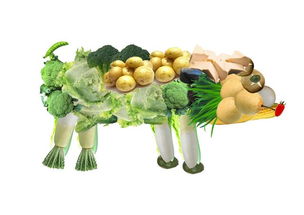 题目：素食主义的健康影响：一项探讨