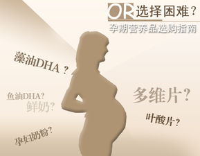 孕妇营养补充指南