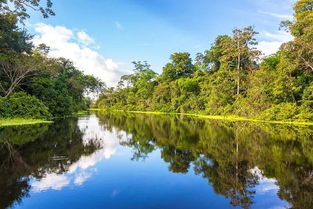 亚马逊雨林的生态之旅是什么