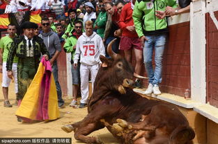 西班牙传统节日斗牛节的由来