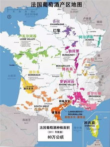 法国葡萄酒的十大产区