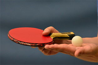 乒乓球运动需要有良好的协调性和灵巧性对吗