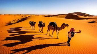 徒步穿越撒哈拉沙漠的人