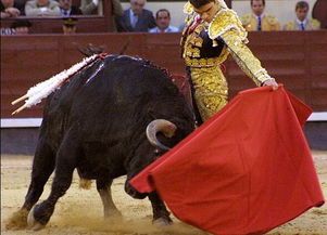西班牙斗牛节会死人吗
