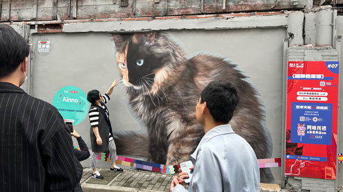 街头艺术家遇到猫