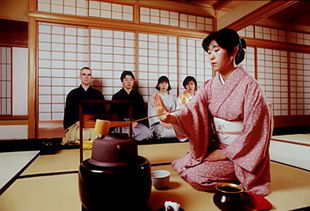 日本茶道精神，总结为____