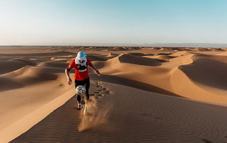 徒步横穿撒哈拉沙漠