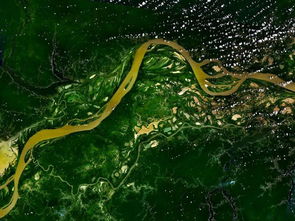 亚马逊雨林面临的问题