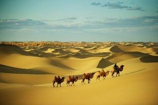 有没有人穿越撒哈拉沙漠的电影