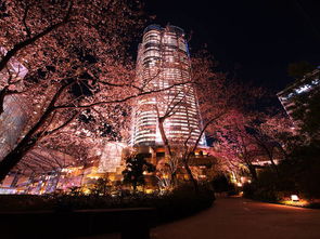 东京的现代与传统融合发展现状