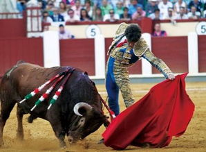 西班牙的斗牛节
